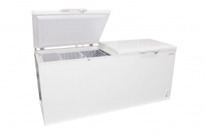 Купить Ларь морозильный BD-560 с доставкой по Дальнему Востоку - компания Биомикс